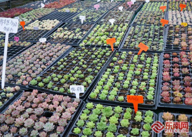 做足“绿”文章勇于“碳”新路