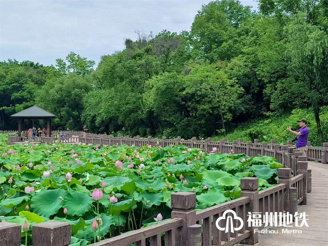 福州地铁4号线花海公园站出入口,福州琴亭湖公园地铁