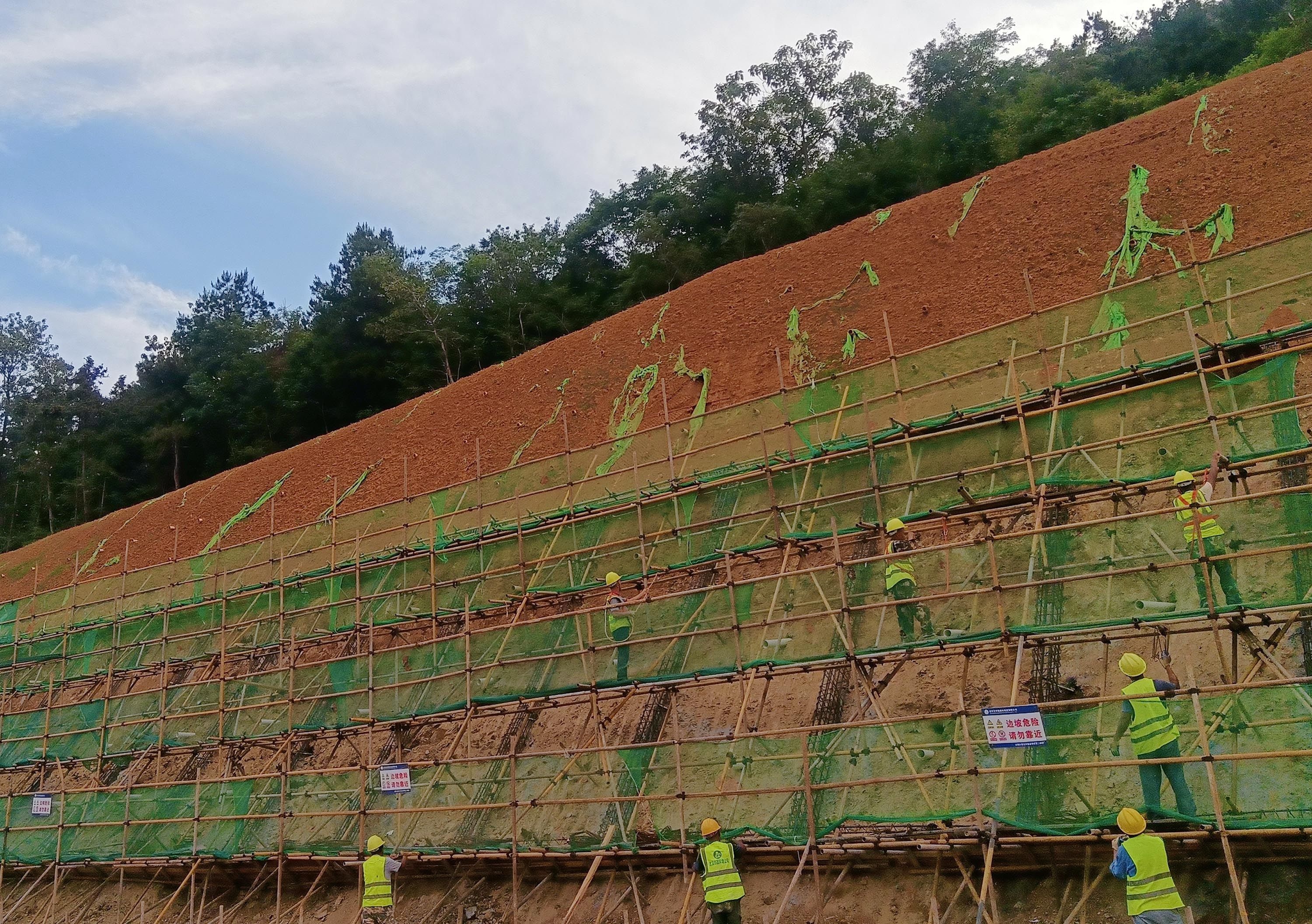 为小动物建通道，江夏多了一条串山连湖的绿色门户大道