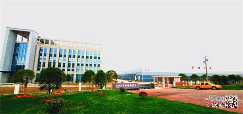 这座赣东小城缘何与台球相爱相生