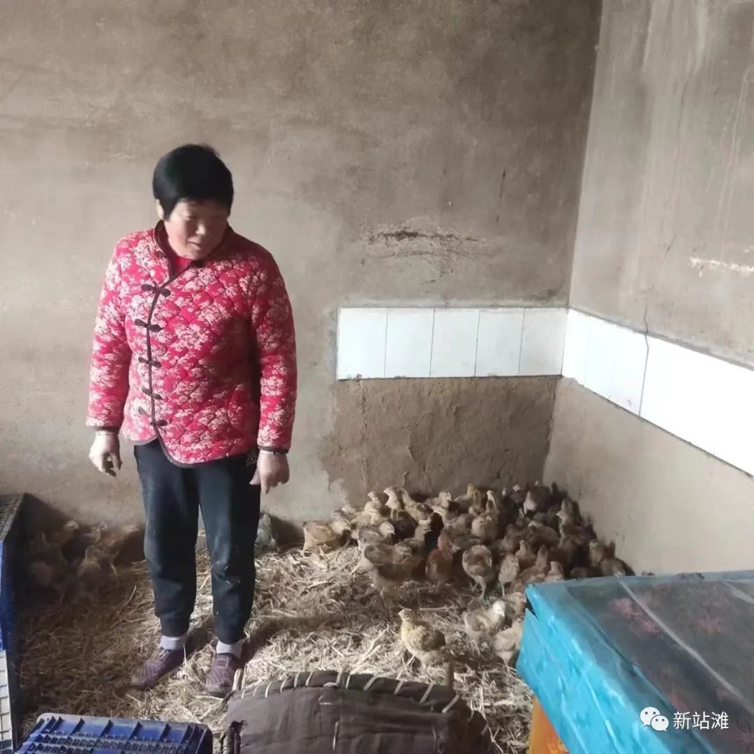 临洮县站滩乡,临洮县站滩