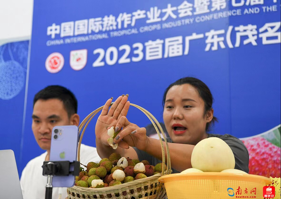 调研高质量发展步骤,高质量发展调研行贵州