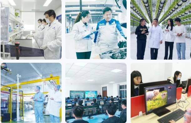 临沂科技职业学院2023年招生简章,临沂科技职业学院综评2023招生