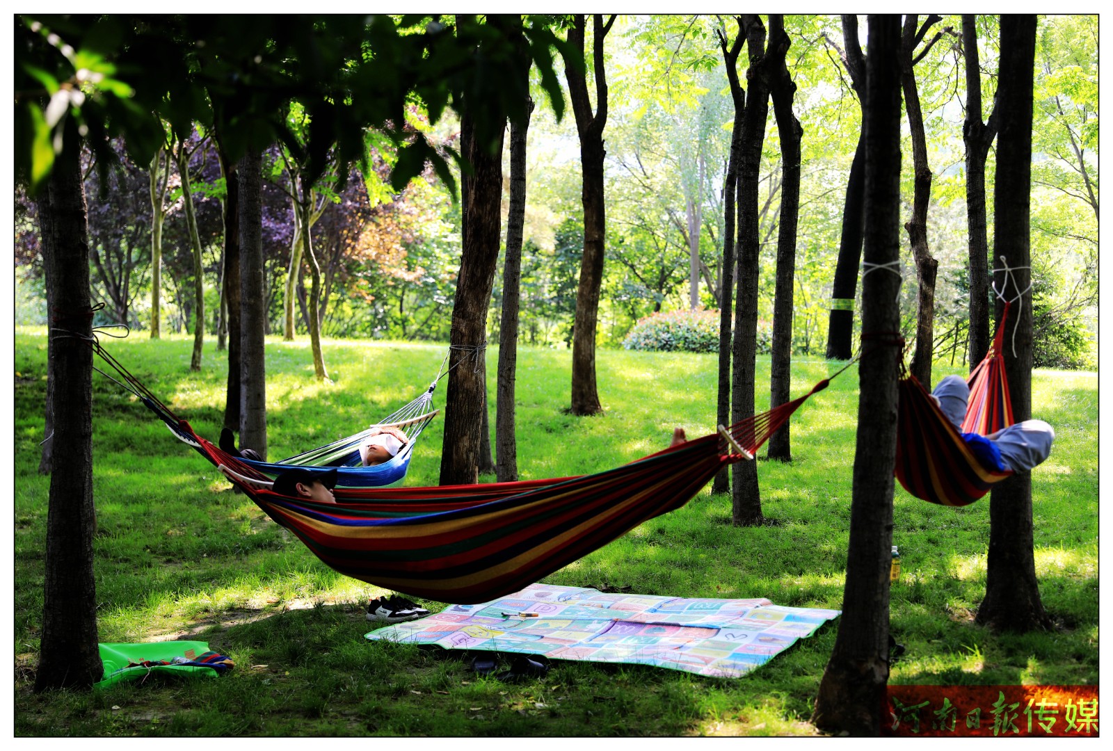 你还没有来过郑州之林？这座空气清新负氧离子爆棚的城市公园值得你来美景打卡