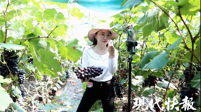 乡村直播间丨“葡萄西施”的升级之路:从瞎聊到每场成交几百单