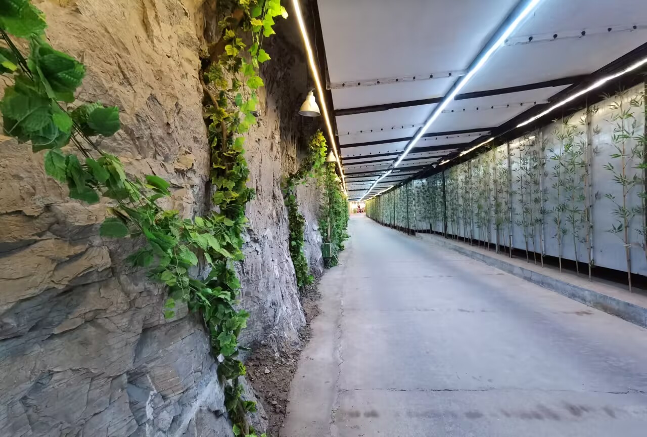 山东49处人防工程避暑纳凉点,人防工程避暑纳凉点标牌