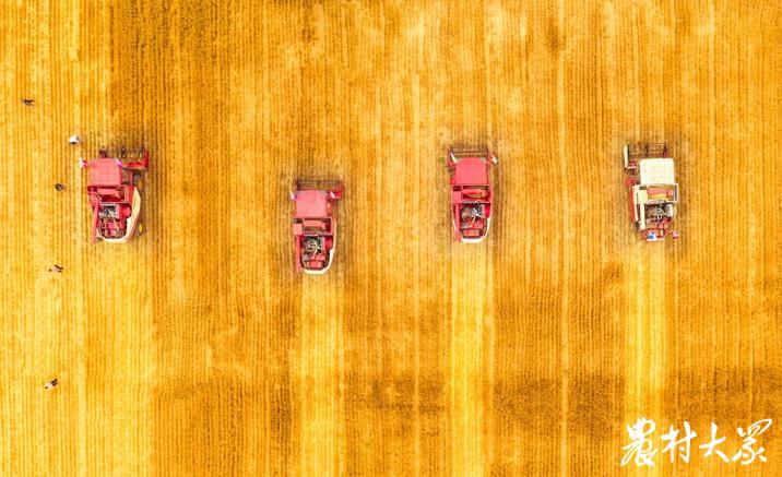 西海岸乡村振兴示范片区,乡村振兴西海岸样板
