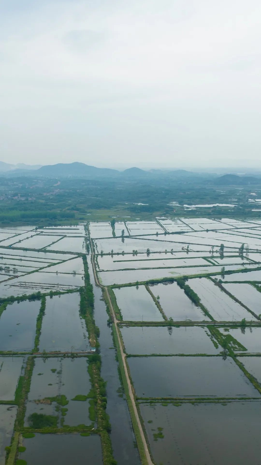 寻找鄂城最美村落｜泽林：云梦泽畔多芳草