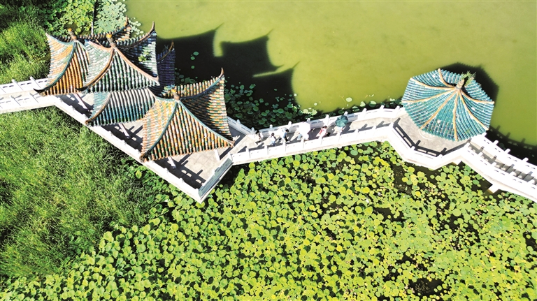 阳城县河道治理工程,阳城县后河巷河道治理