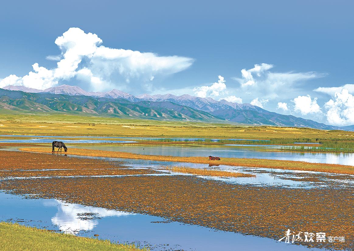 关于青海的诗歌,与青海有关的诗