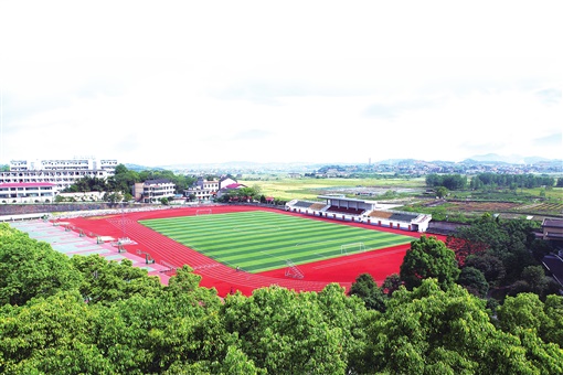 向阳花木易为春后面一句是什么,向阳花木易为春现场