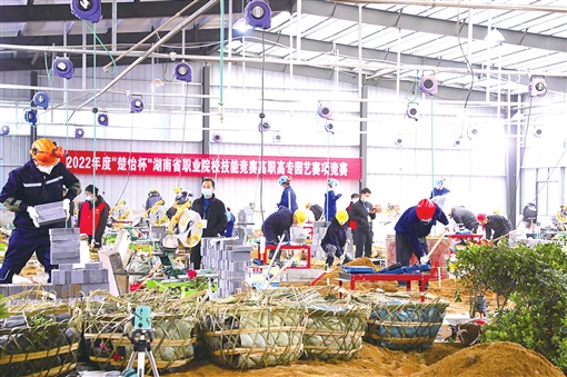 向阳花木易为春后面一句是什么,向阳花木易为春现场