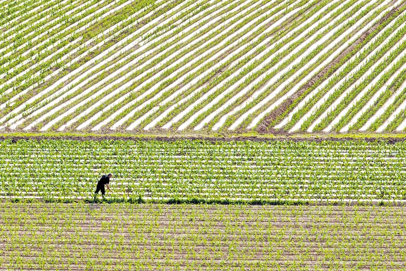 阳城县河道治理工程,阳城县后河巷河道治理