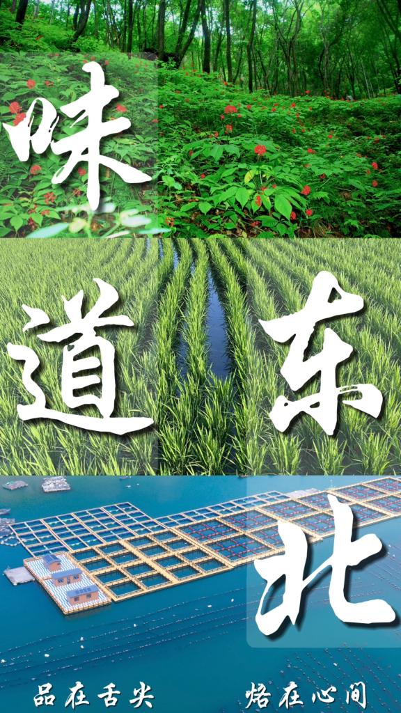 专家谈振兴东北之加强产业转型,东北振兴产业如何破局