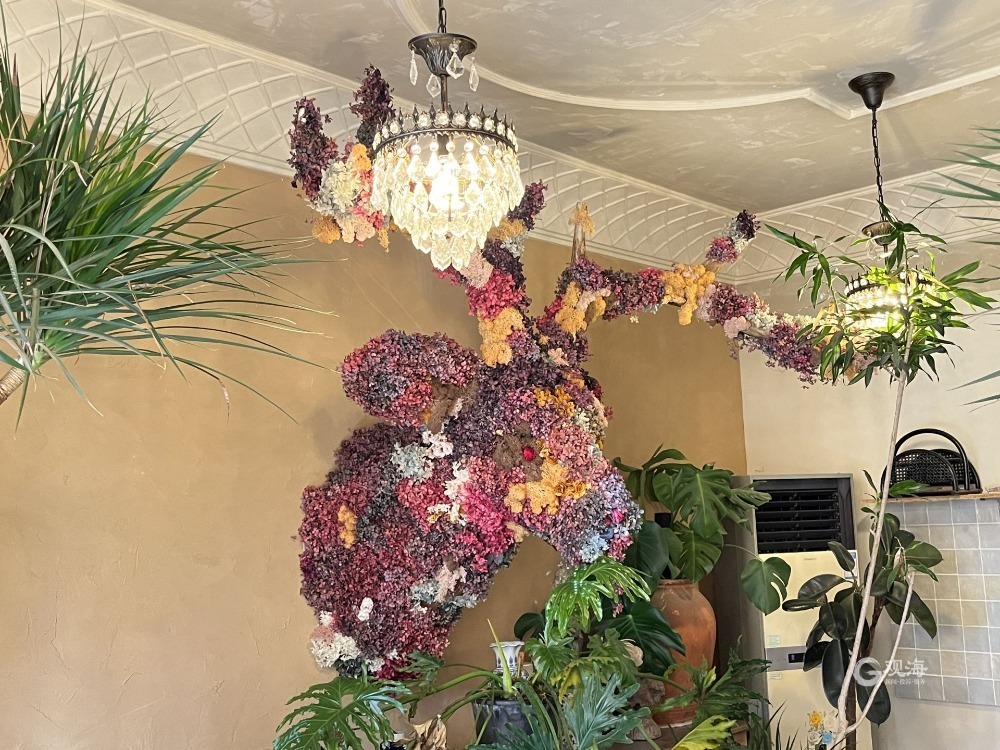 镜像微观|浪漫满屋！花园咖啡厅“绽放”美丽产业