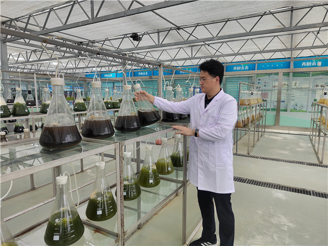 回到未来博士回家,返乡清华博士