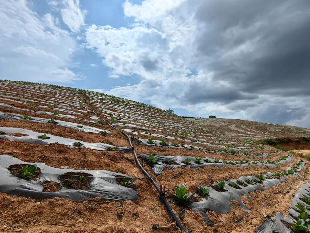 乡镇农业水价综合改革意见建议,农业水价综合改革需要达到的效果