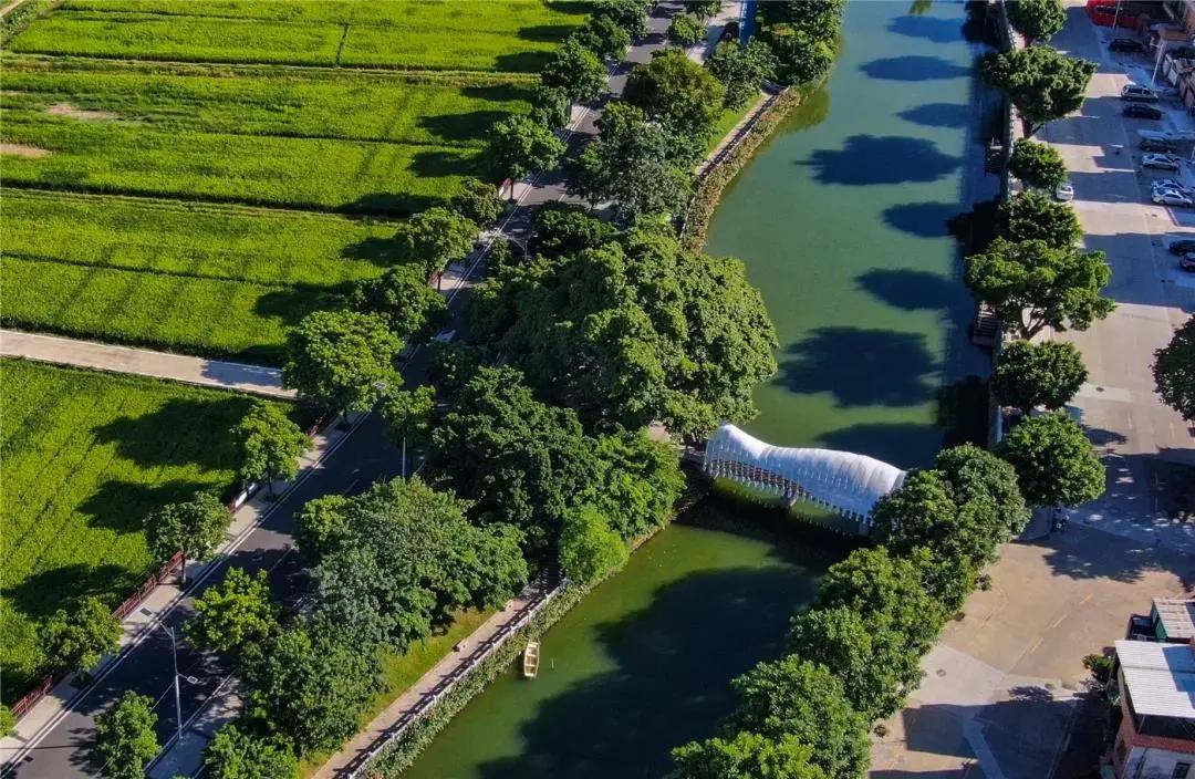 东莞暑期旅游推荐,东莞半日游最佳景点