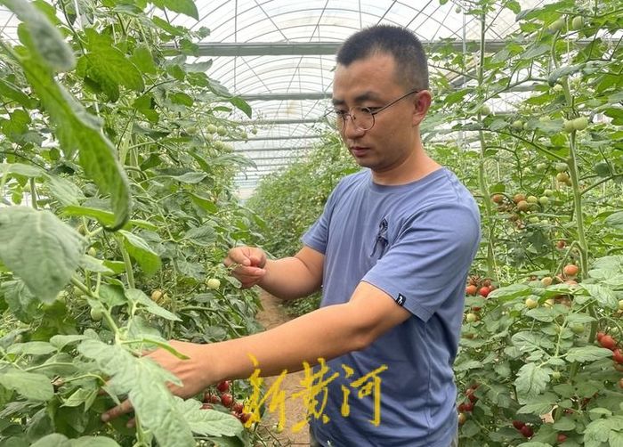 85后大学生回家种地年收入1800万,浙江95后女生辞工作种田年赚75万