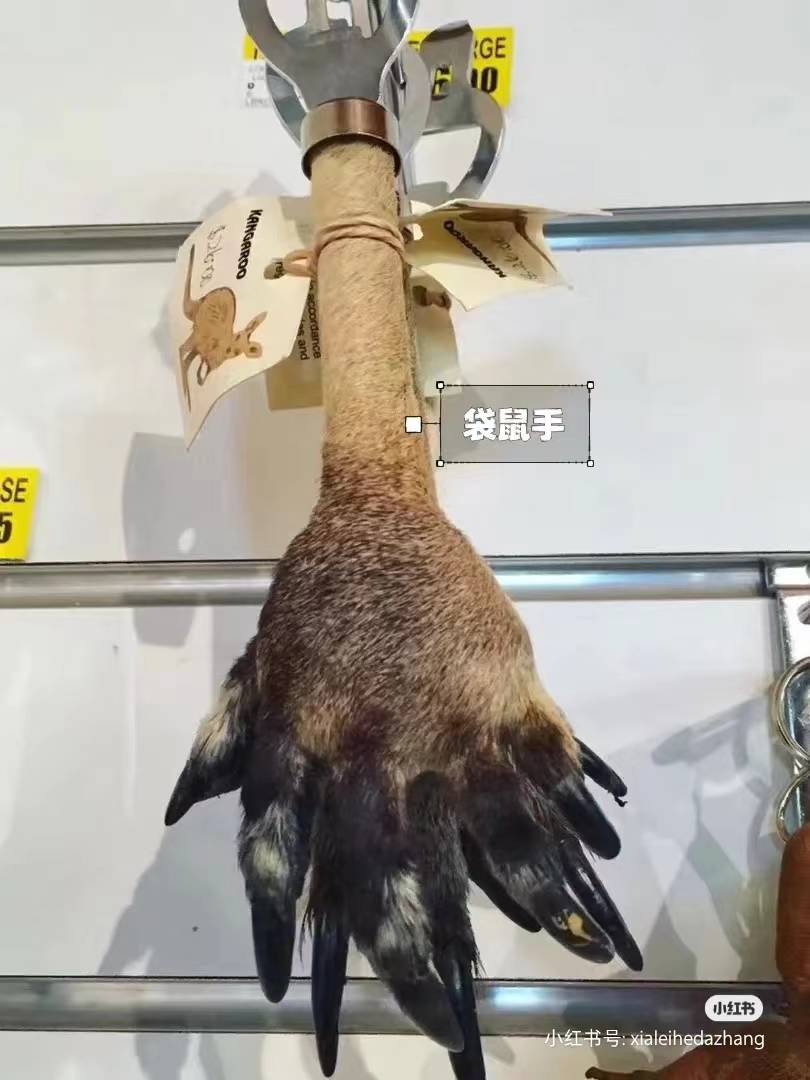 晚安十点（2023.7.7）丨手信你会挑什么？冤种朋友分分钟突破你的想象