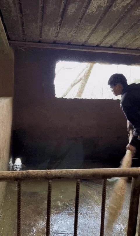 招生减章是什么,招生减章