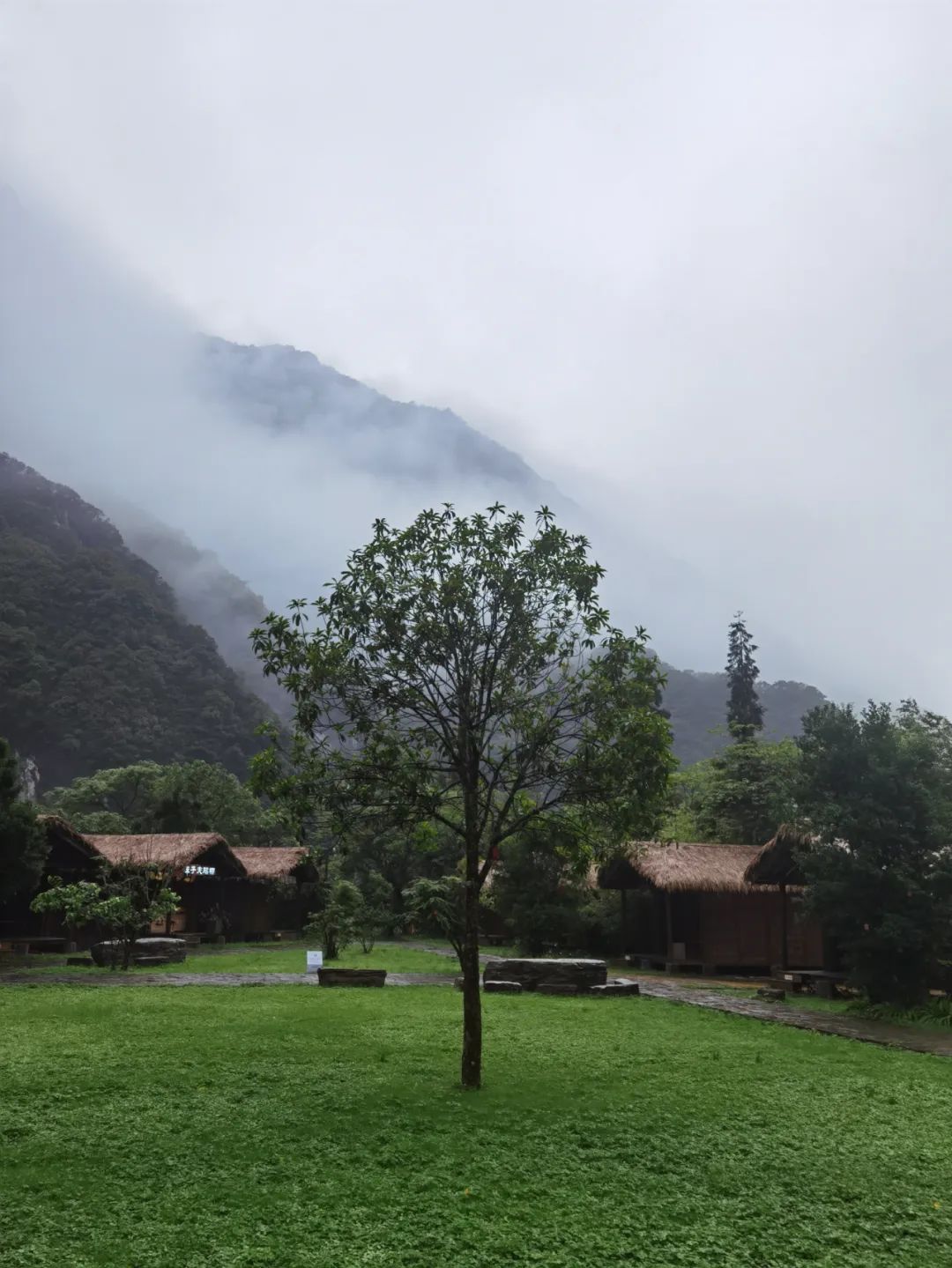 娑櫟璇楄瘝鍘熷垱,娑櫟璇楄瘝澶ц禌