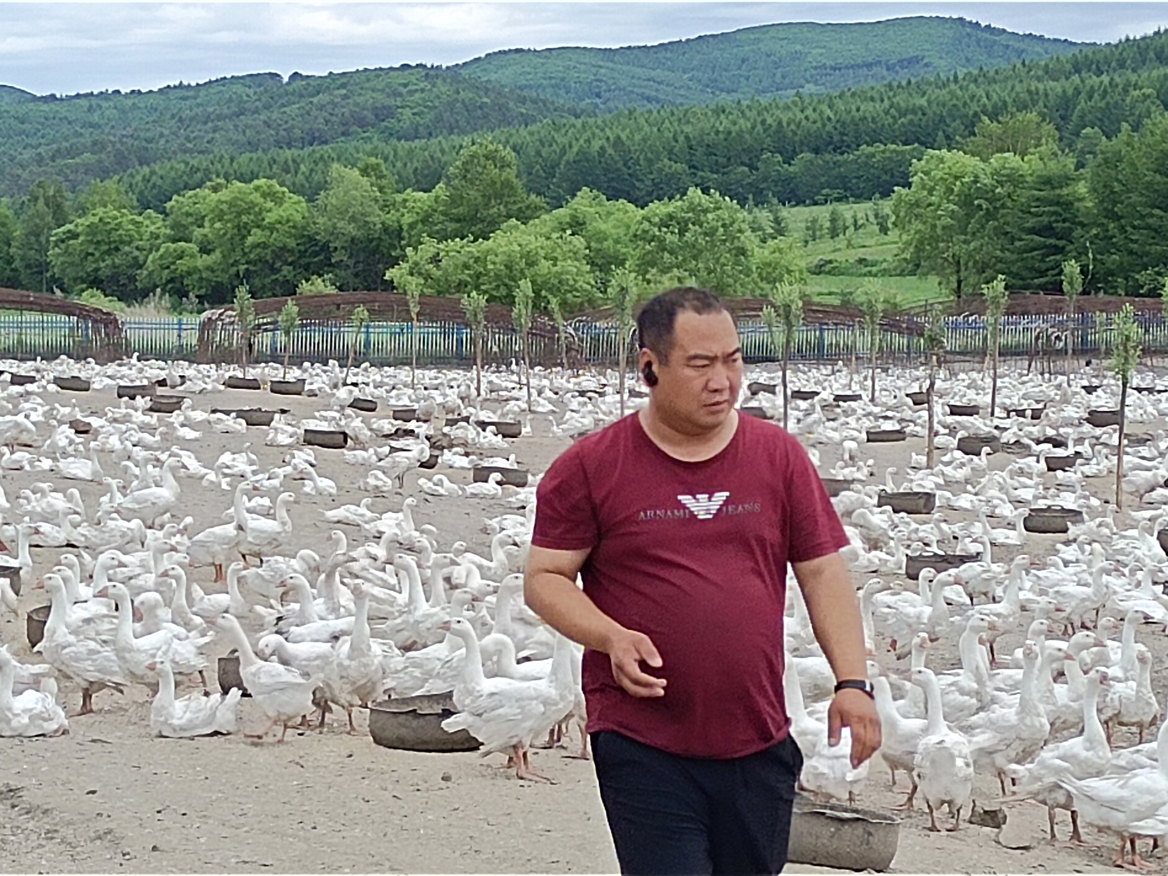 味蕾珠海金湾门店,味蕾齐齐哈尔