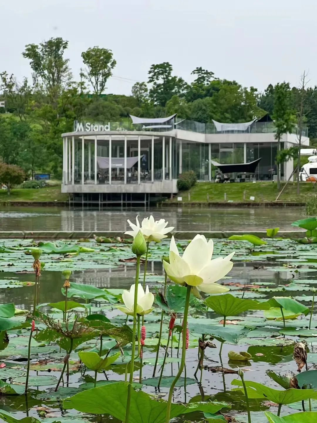 门店如何设计吸引人,如何让门店设计更有高级感