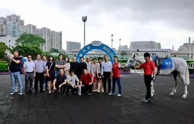 亏损36.72亿，禁新马进口，澳门赛马还能撑多久？！