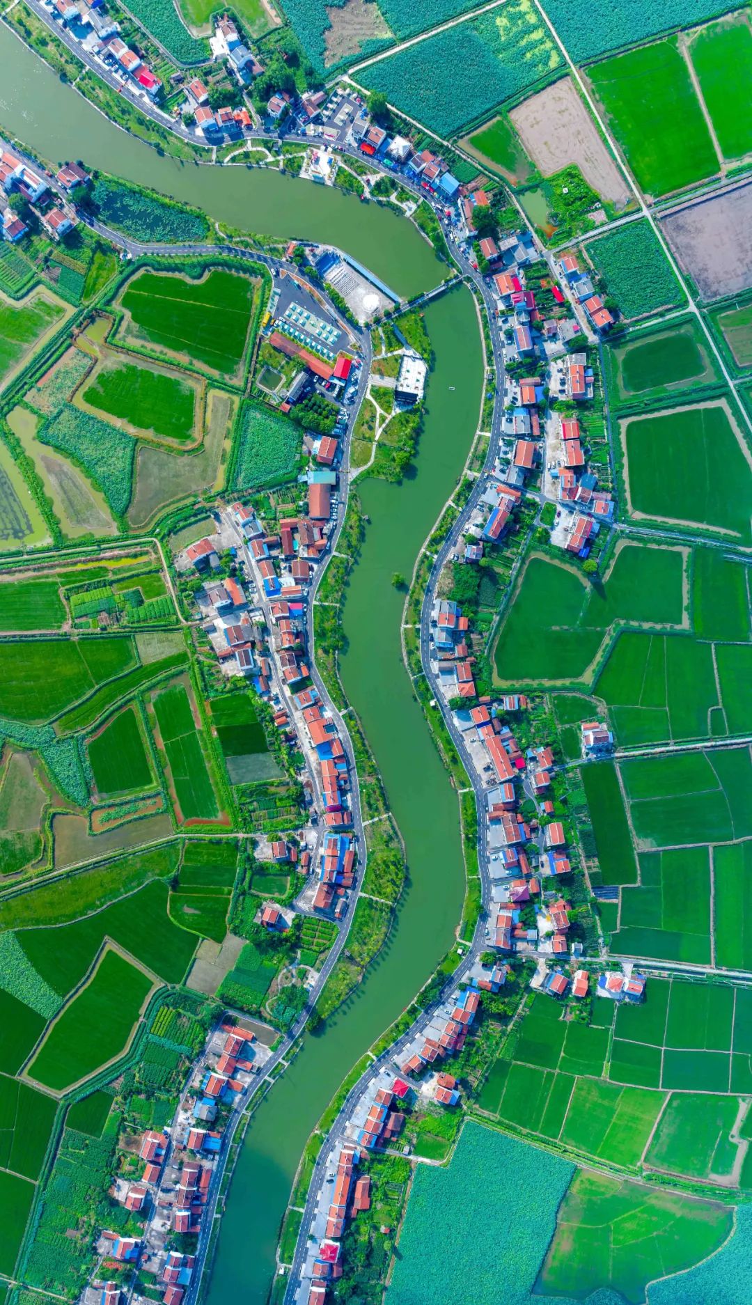 武汉江夏在水一方小区,在水一方属于哪个社区