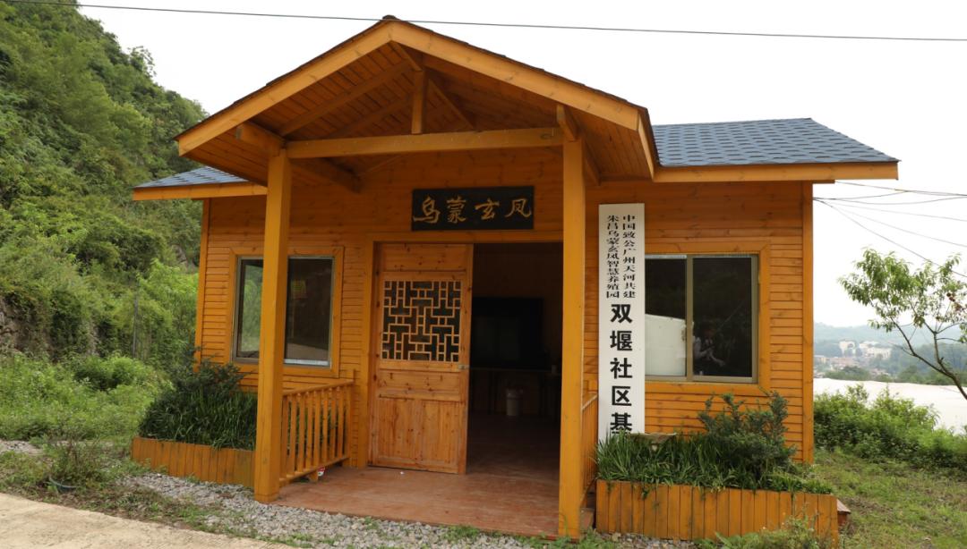 鐪嬩笉瑙佺殑鏁版嵁鍒嗘瀽,鐪嬩笉瑙佺殑鏁板瓧