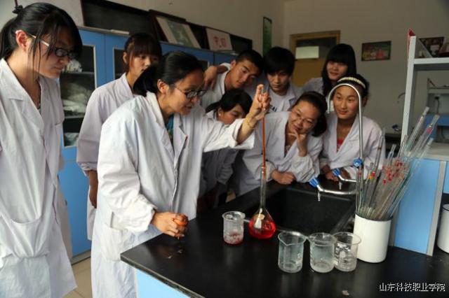 山东科技大学2020高考招生简章,山东科技职业学院春考招生计划