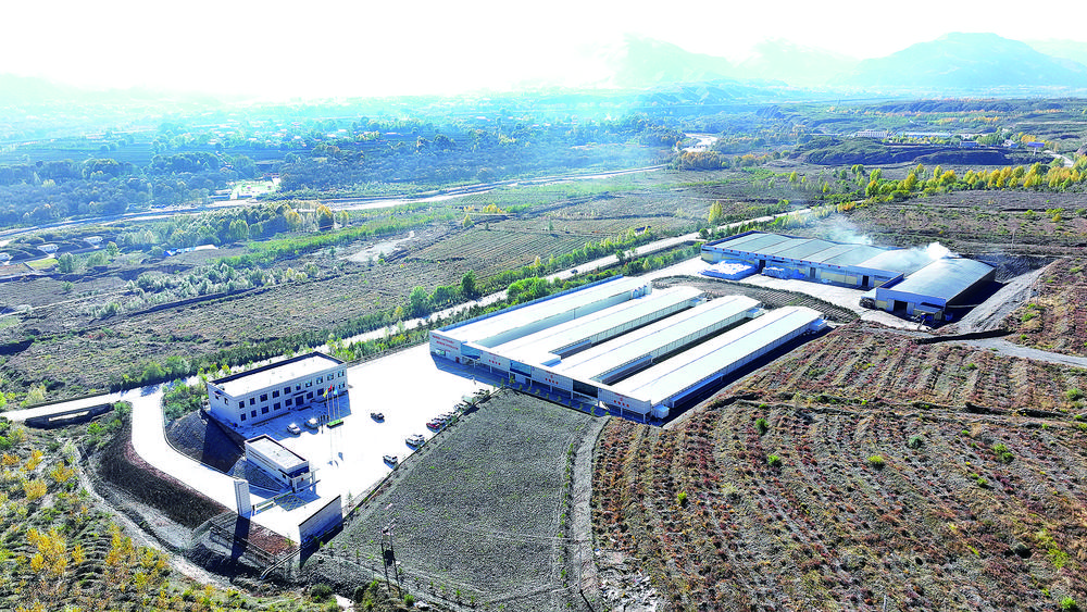 产业兴旺乡村振兴,产业发展农民致富乡村振兴