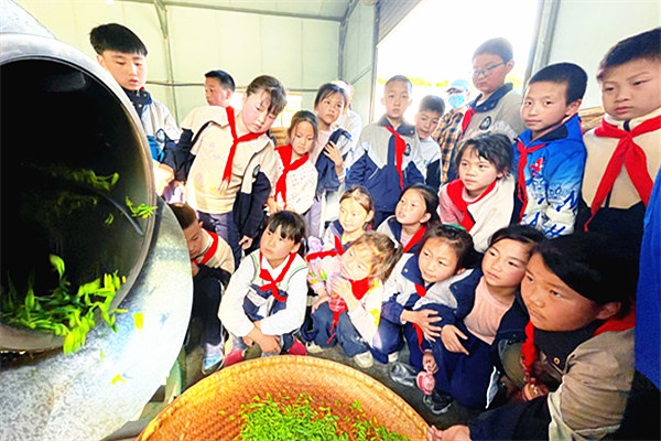 岚皋城关小学研学,岚皋县城关镇六口小学