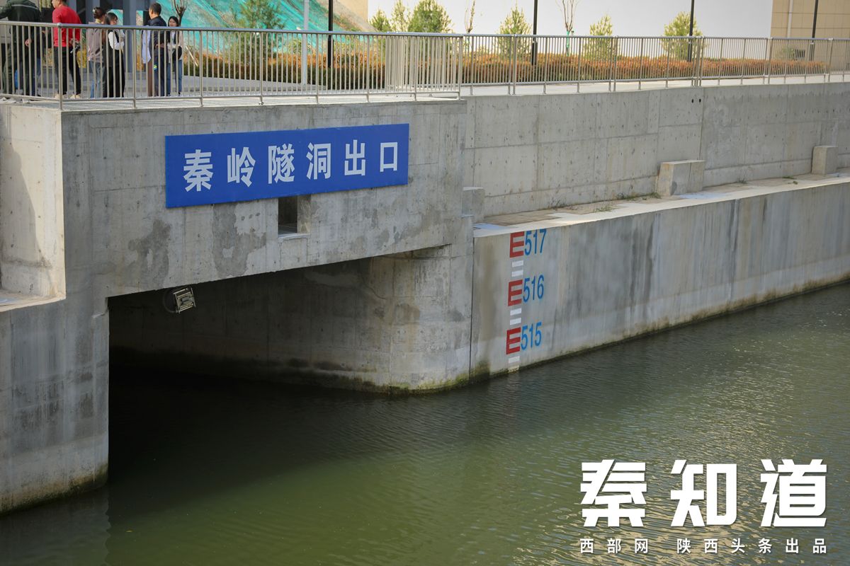 秦直道,秦知道小说