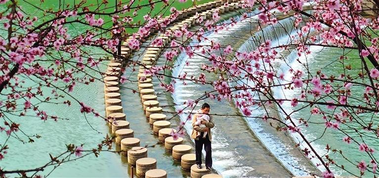 春来湘西，拈朵微笑的花