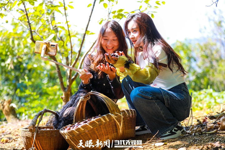 天眼农家乐,贵州天眼村全景航拍