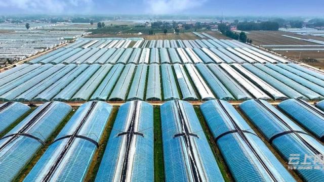 鍐呴粍涔℃潙鎸叴鏂伴椈,瀹夐槼涔℃潙鎸叴浜т笟