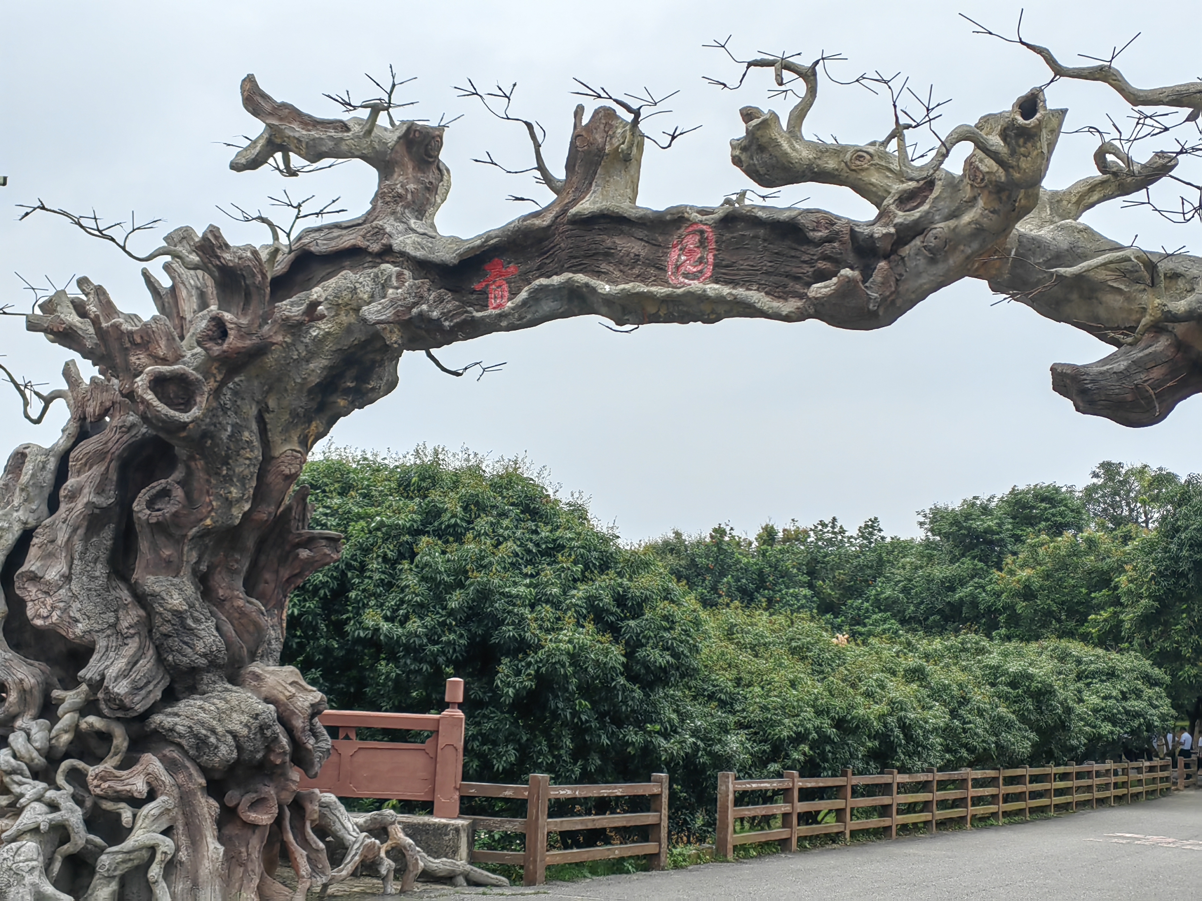 种下红果果日子甜蜜蜜——广东茂名“荔枝村”做好做实“土特产”文章