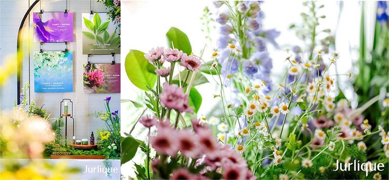 茱莉蔻以油养肤,茱莉蔻草本肌源