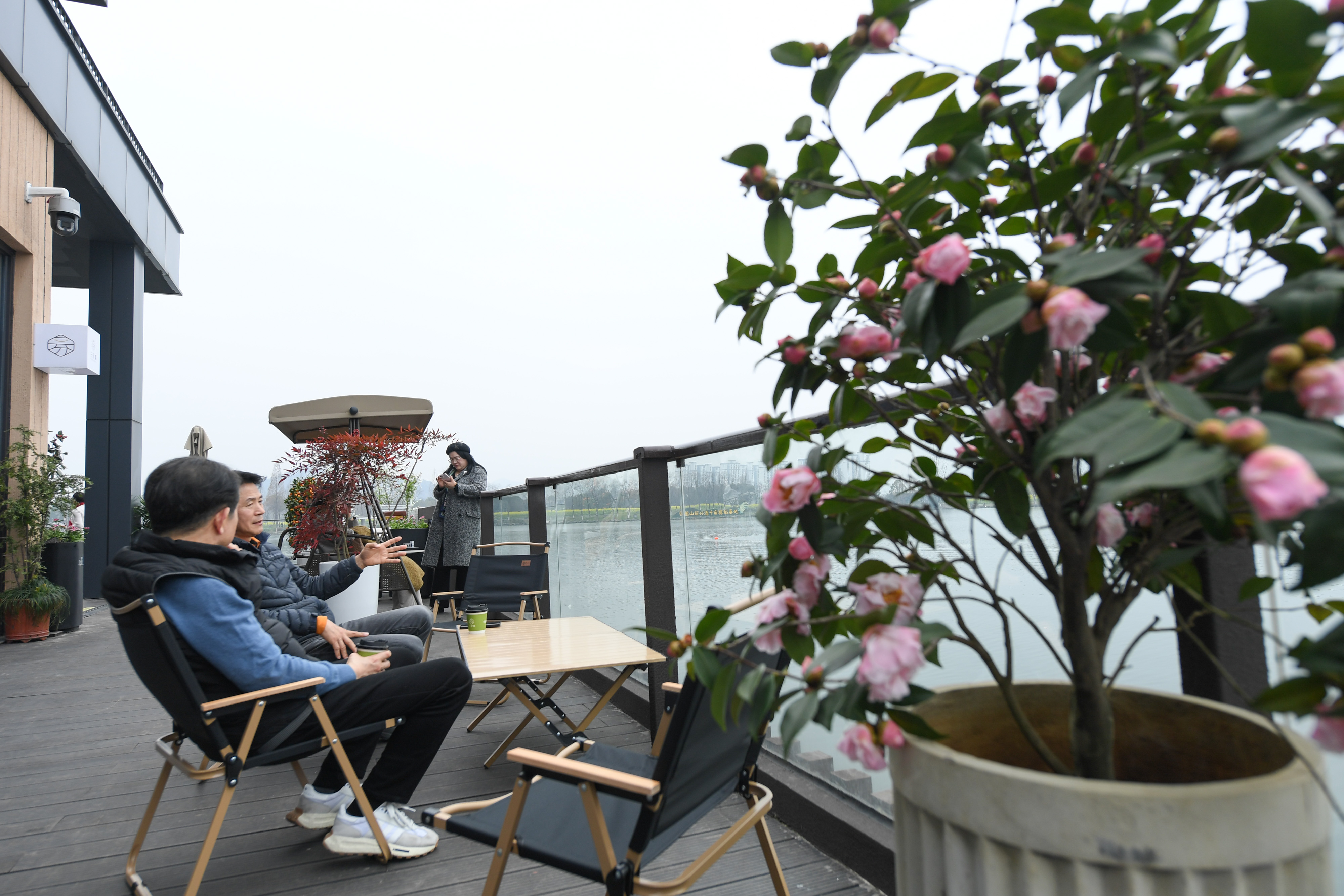 绍兴市越城区鉴湖新村改造,绍兴城乡蝶变图片