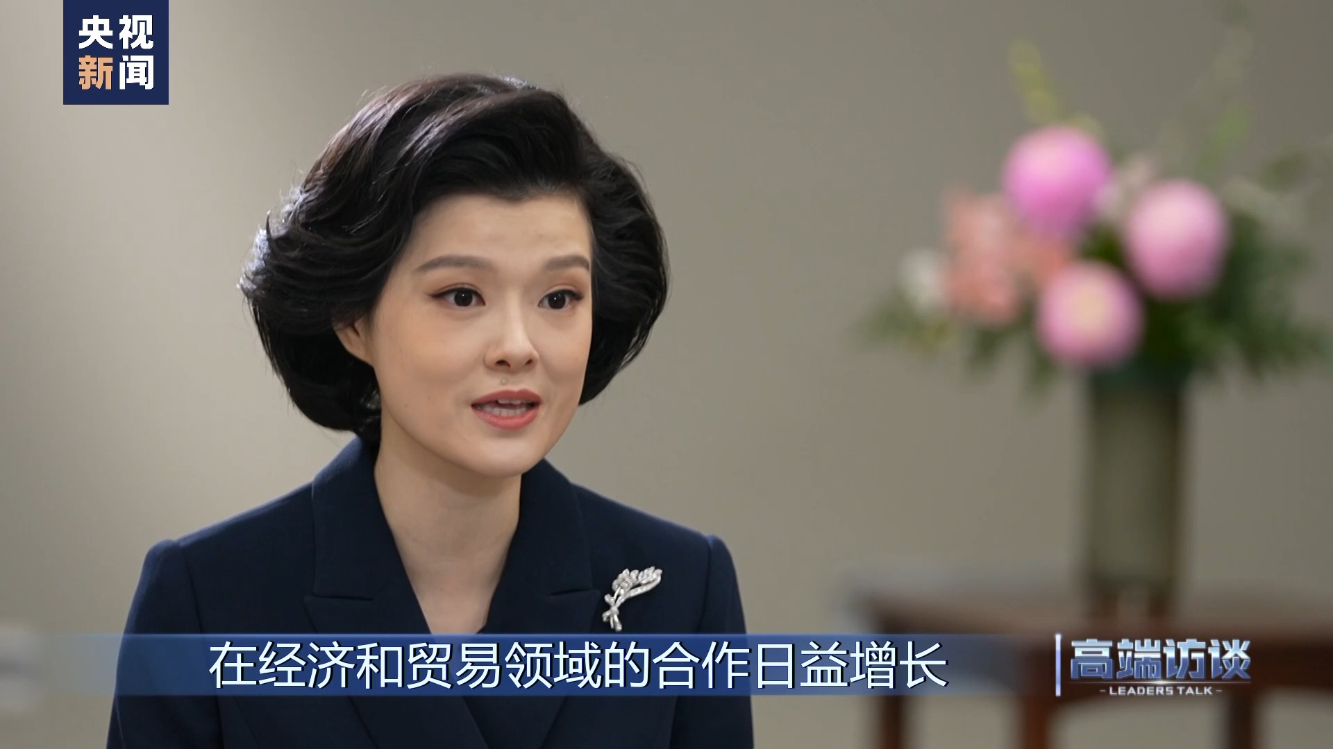 高端访谈比利时前首相莱特姆,高端访谈专访法国总统