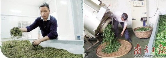 龙门县南昆山旅游,龙门南昆山摩旅攻略