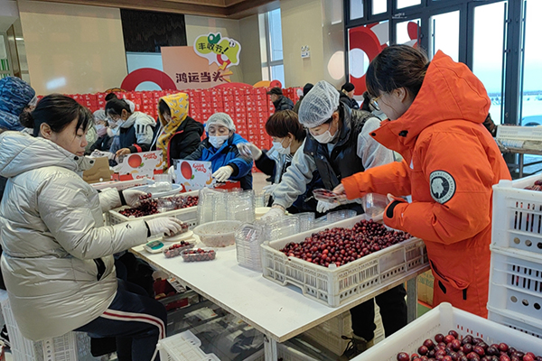 黑龙江蔓越莓特产事件,黑龙江有蔓越莓本地人不知道