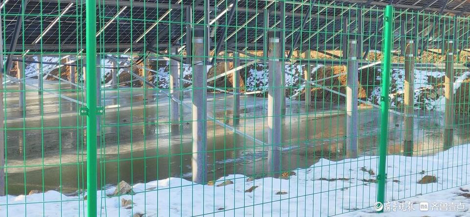 废弃坑塘变良田视频,废旧坑塘改造养鱼违法吗