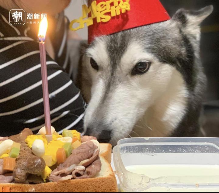 最火爆的蛋糕是什么牌子,200多元的蛋糕有多大