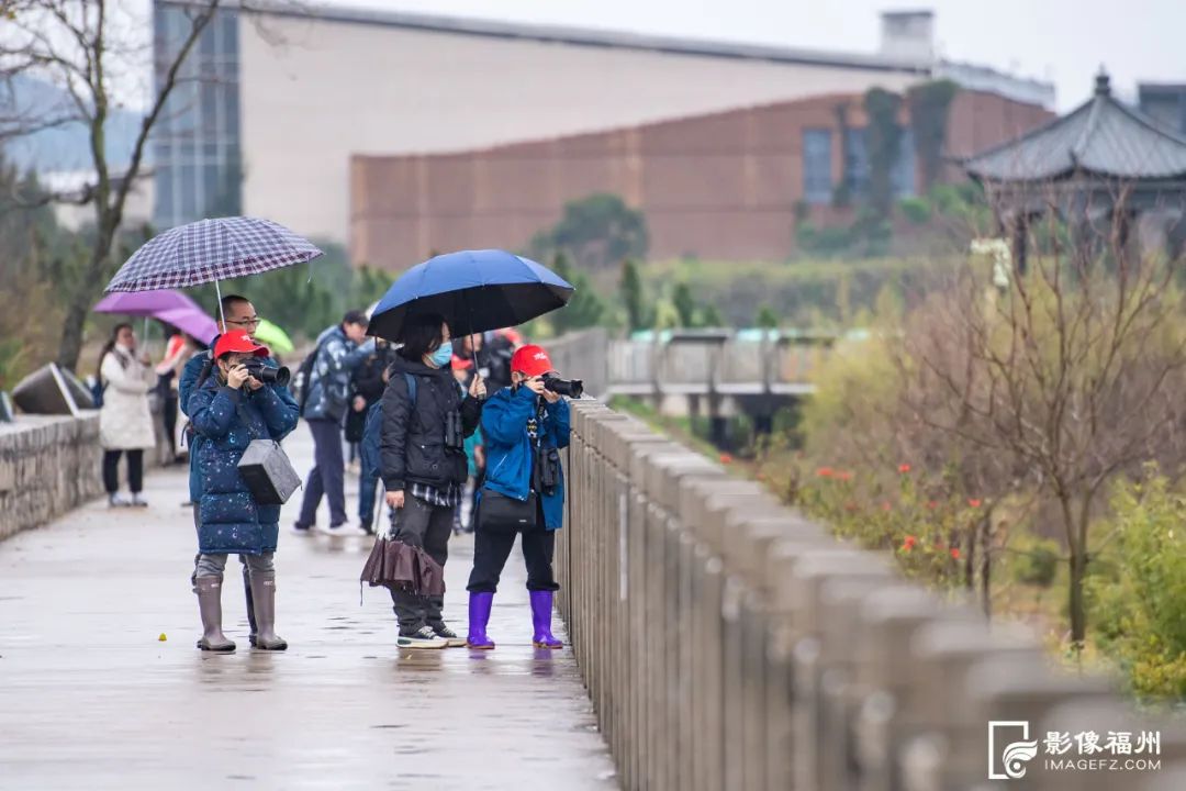 稀客变常客,稀客变常客说明了啥