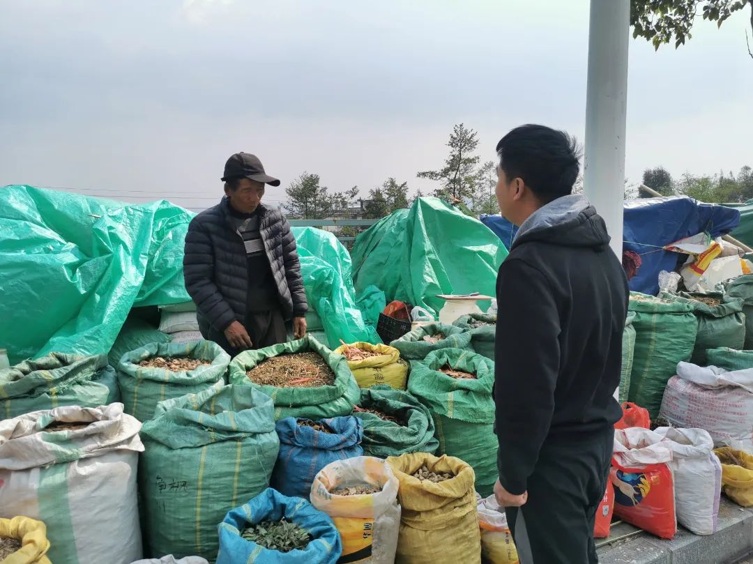 大理三月街药材批发,大理三月街药材市场2019