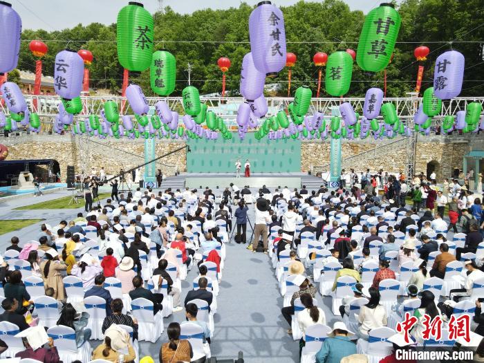 湖北谷城高山生态茶,谷城名茶排名前十的茶