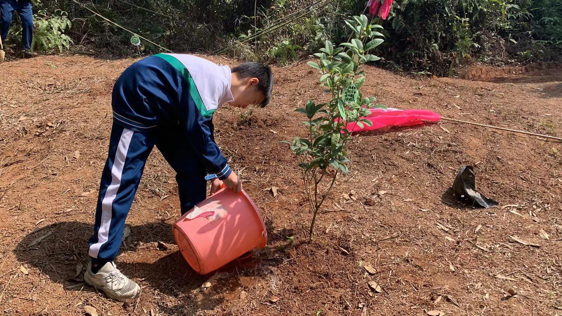 植树研学活动,植树节研学游活动
